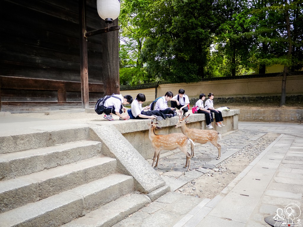 Kyoto_joanna_-453