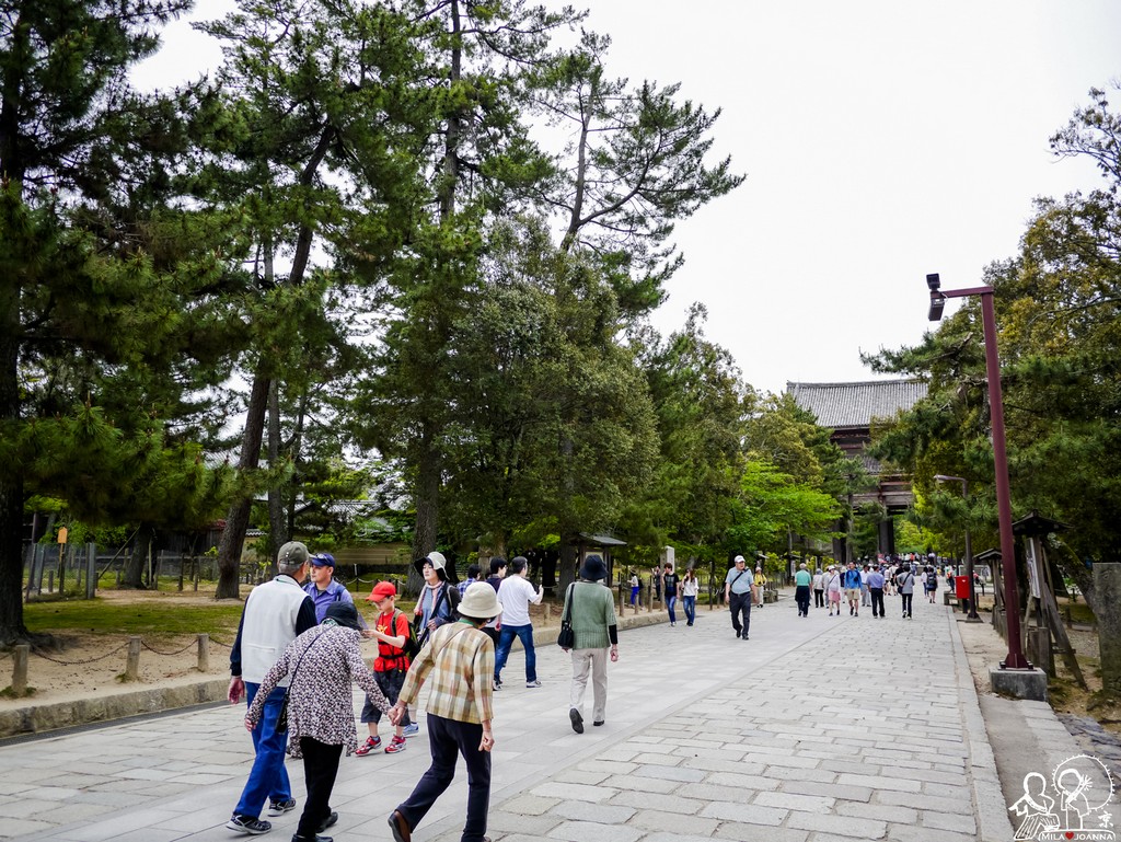 Kyoto_joanna_-505