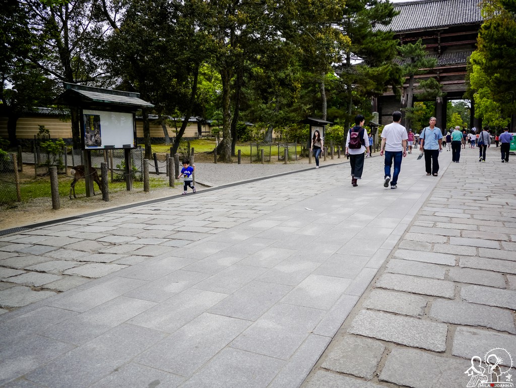 Kyoto_joanna_-506