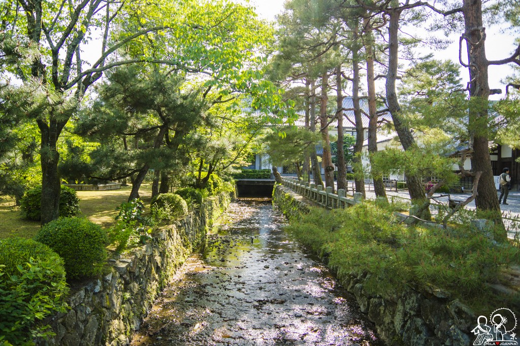 Kyoto_mila_-106