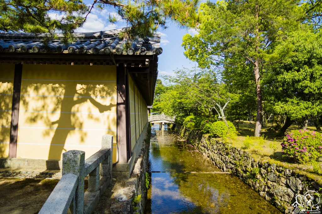 Kyoto_mila_-107