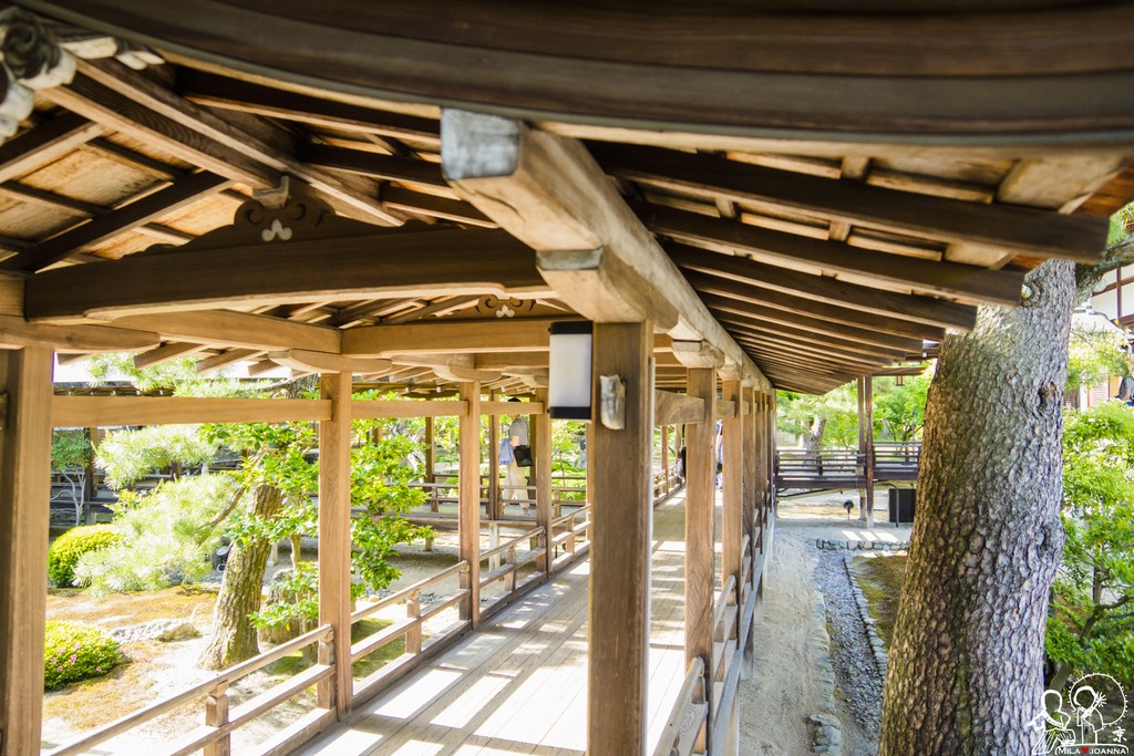 Kyoto_mila_-123