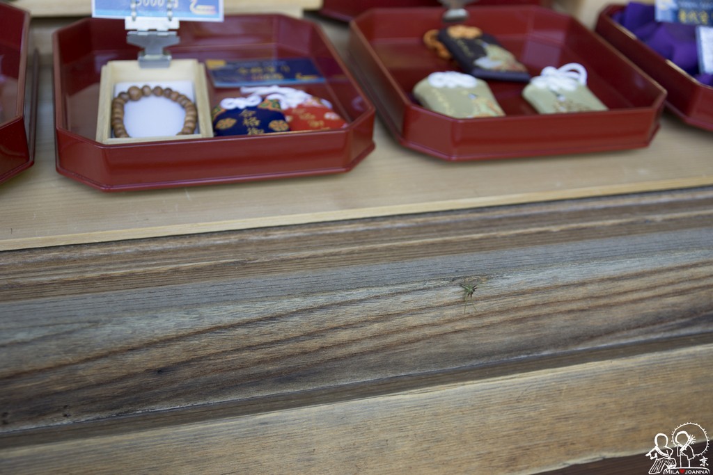 Kyoto_mila_-135