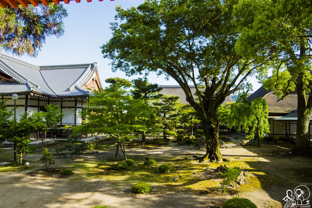 Kyoto_mila_-139