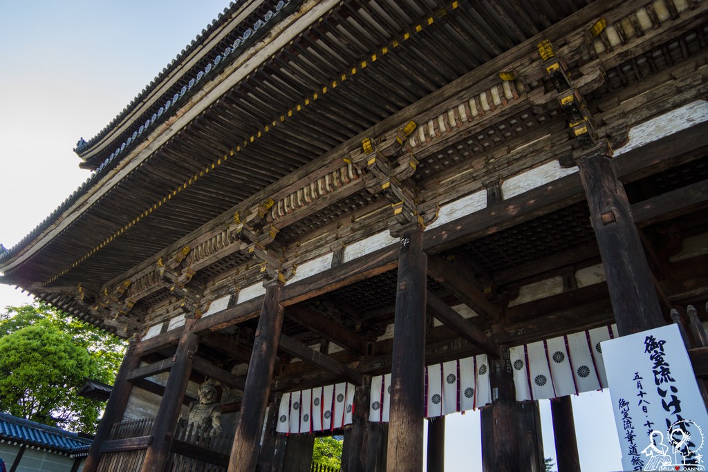 Kyoto_mila_-144