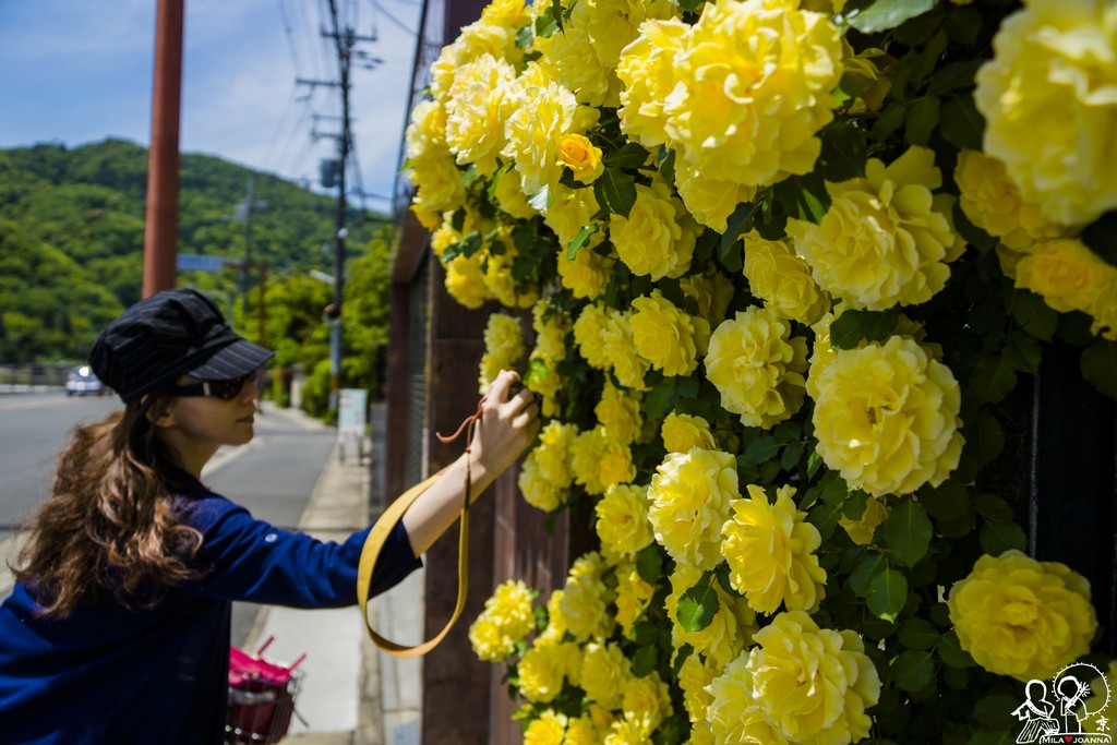 Kyoto_mila_-56