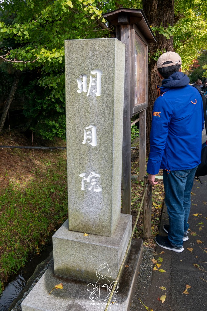 1720534 陳米拉愛旅遊、愛拍照也愛碎碎唸 2026-04-12