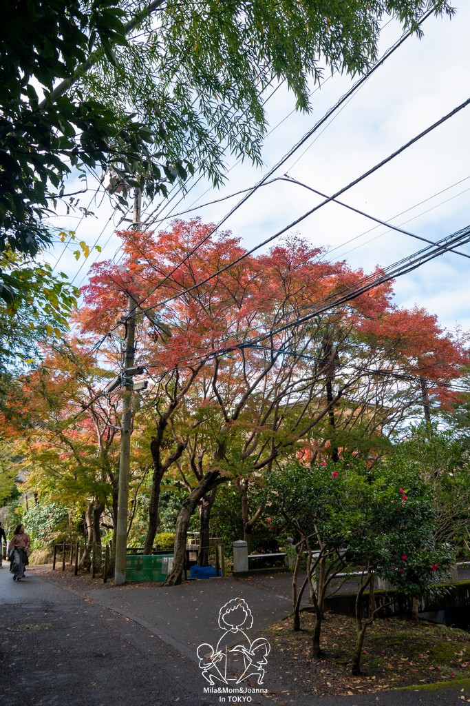 1720538 陳米拉愛旅遊、愛拍照也愛碎碎唸 2026-04-12