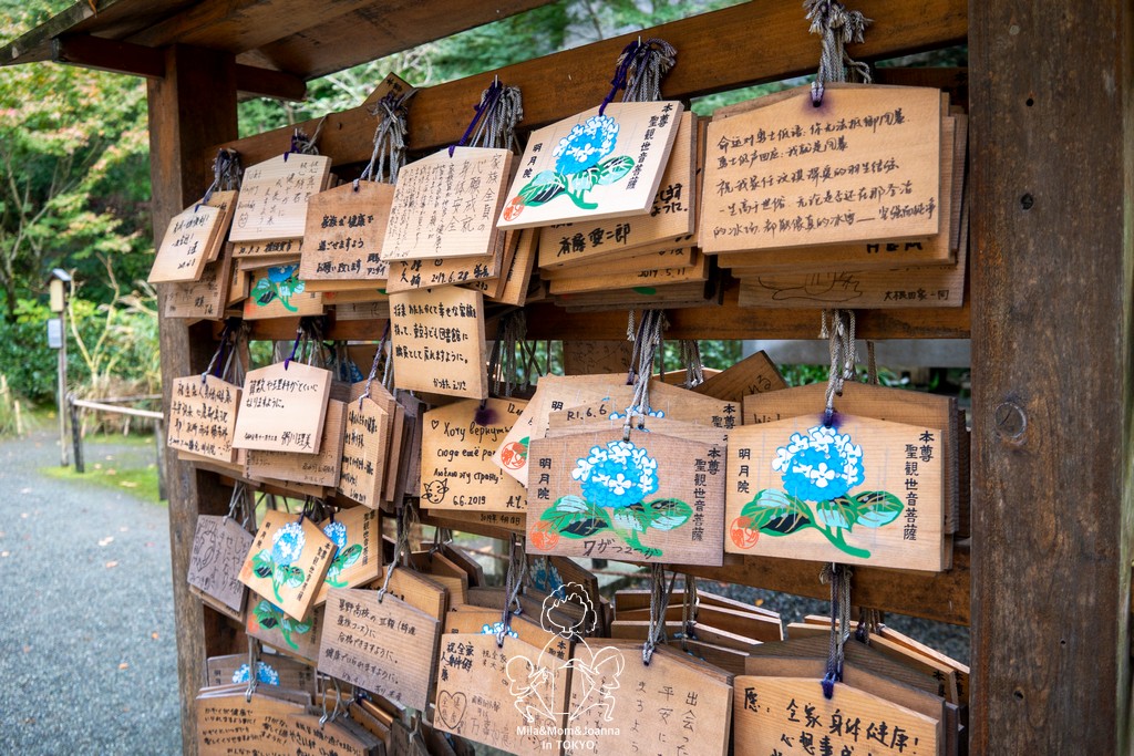 1720560 陳米拉愛旅遊、愛拍照也愛碎碎唸 2026-04-12