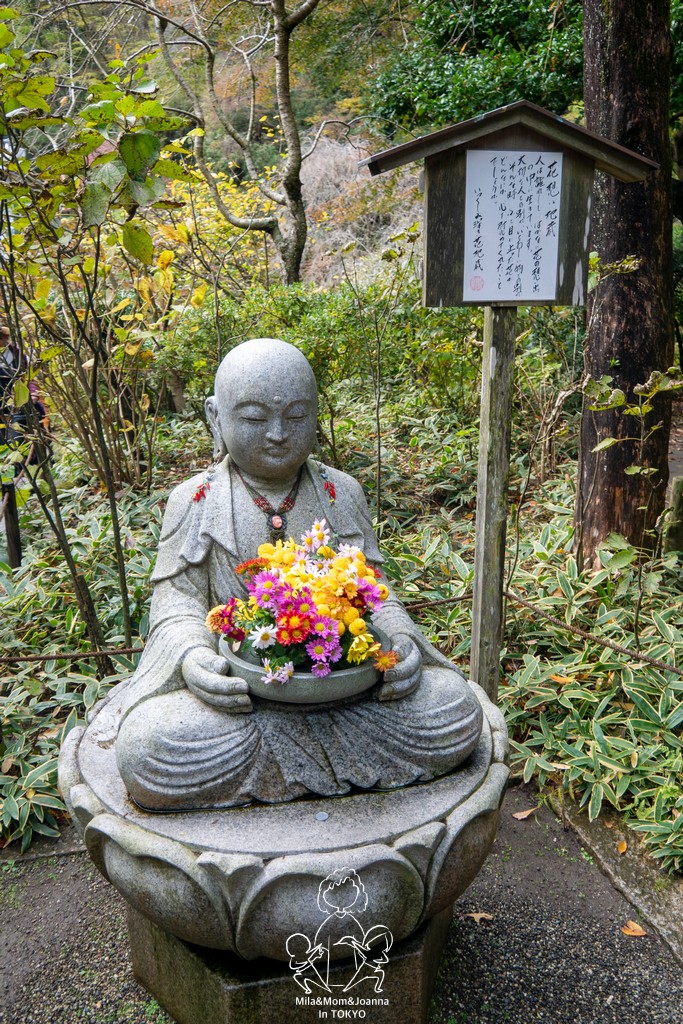 1720561 陳米拉愛旅遊、愛拍照也愛碎碎唸 2026-04-12