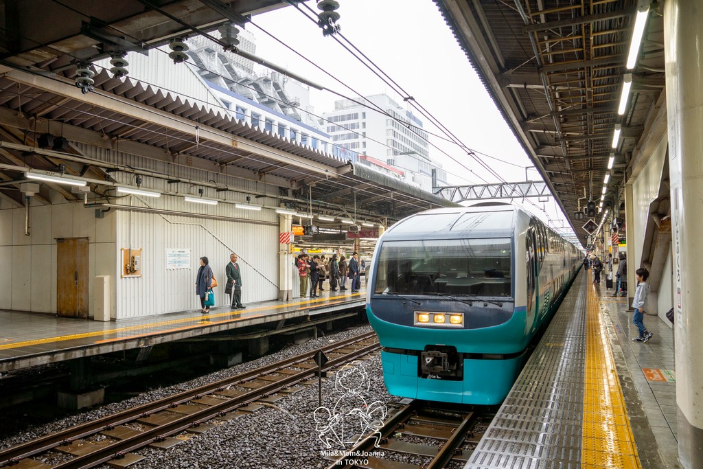 DSC0109 陳米拉愛旅遊、愛拍照也愛碎碎唸 2026-04-12