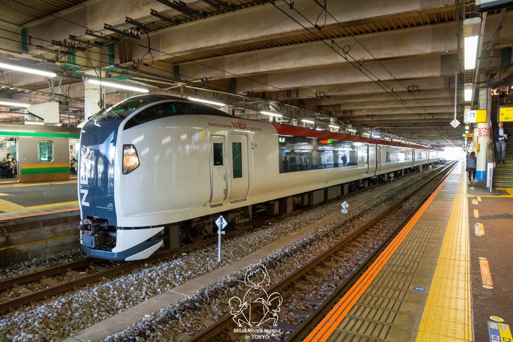 DSC0122 陳米拉愛旅遊、愛拍照也愛碎碎唸 2026-04-12