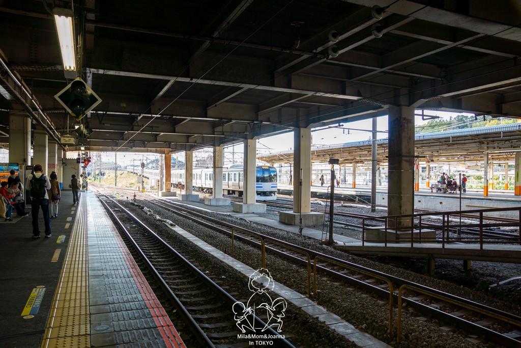 DSC0127 陳米拉愛旅遊、愛拍照也愛碎碎唸 2026-04-12