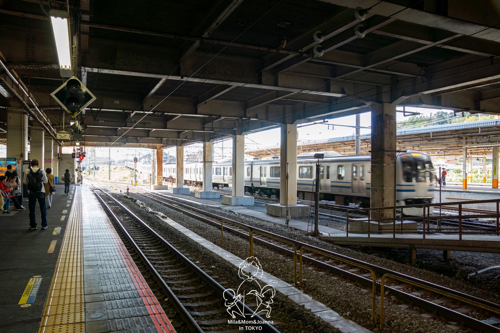 DSC0128 陳米拉愛旅遊、愛拍照也愛碎碎唸 2026-04-12