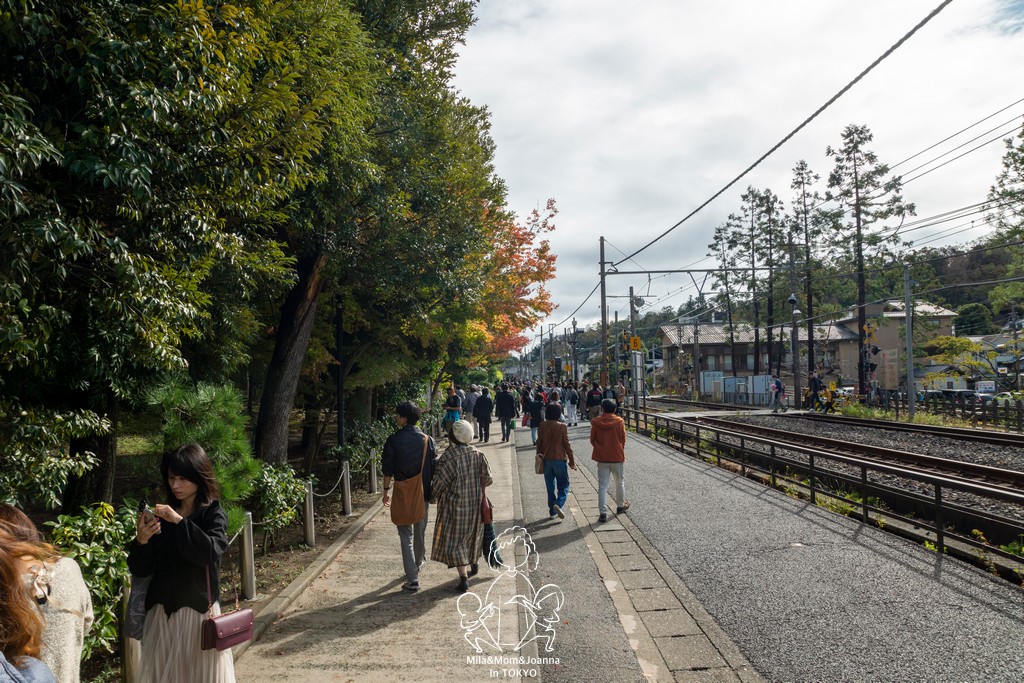 DSC0129 陳米拉愛旅遊、愛拍照也愛碎碎唸 2026-04-12
