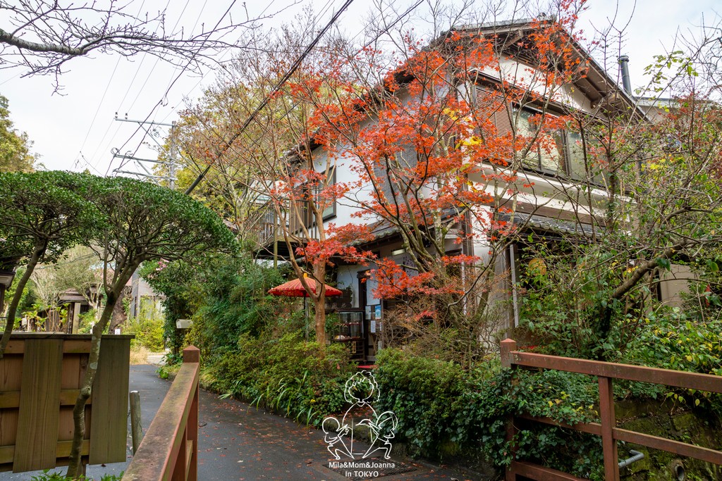 DSC0132 陳米拉愛旅遊、愛拍照也愛碎碎唸 2026-04-12