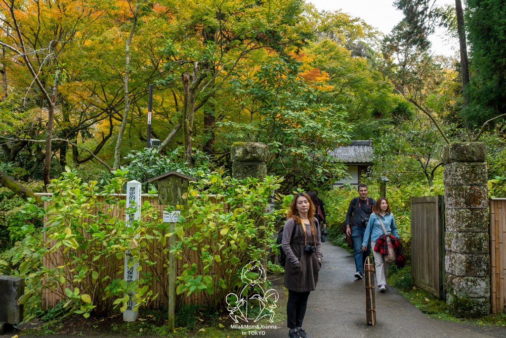 DSC0134 陳米拉愛旅遊、愛拍照也愛碎碎唸 2026-04-12