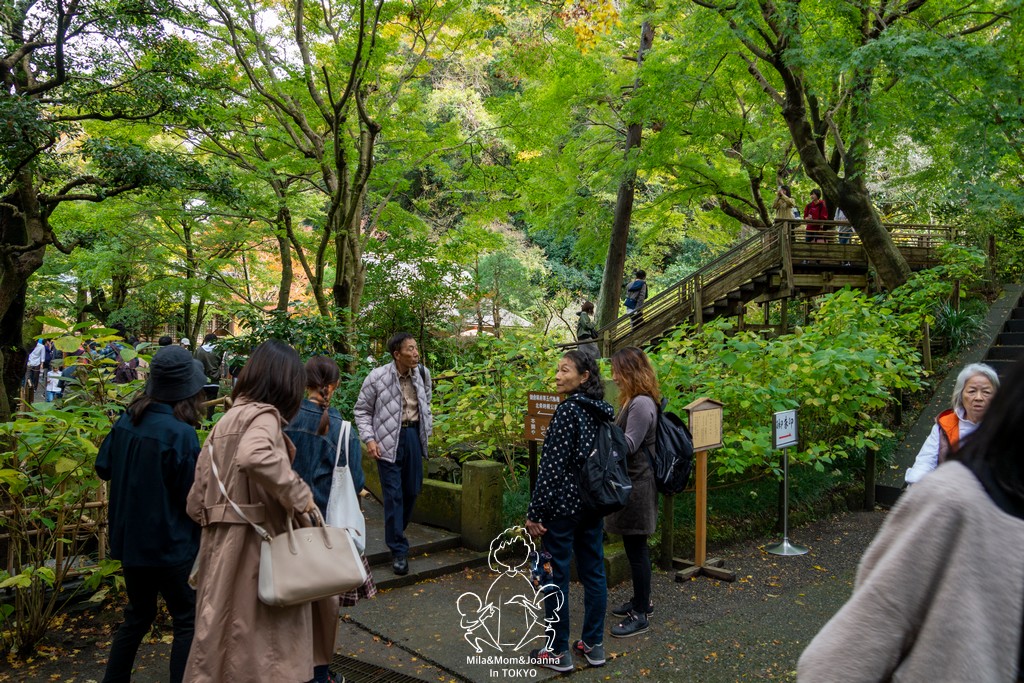 DSC0136 陳米拉愛旅遊、愛拍照也愛碎碎唸 2026-04-12