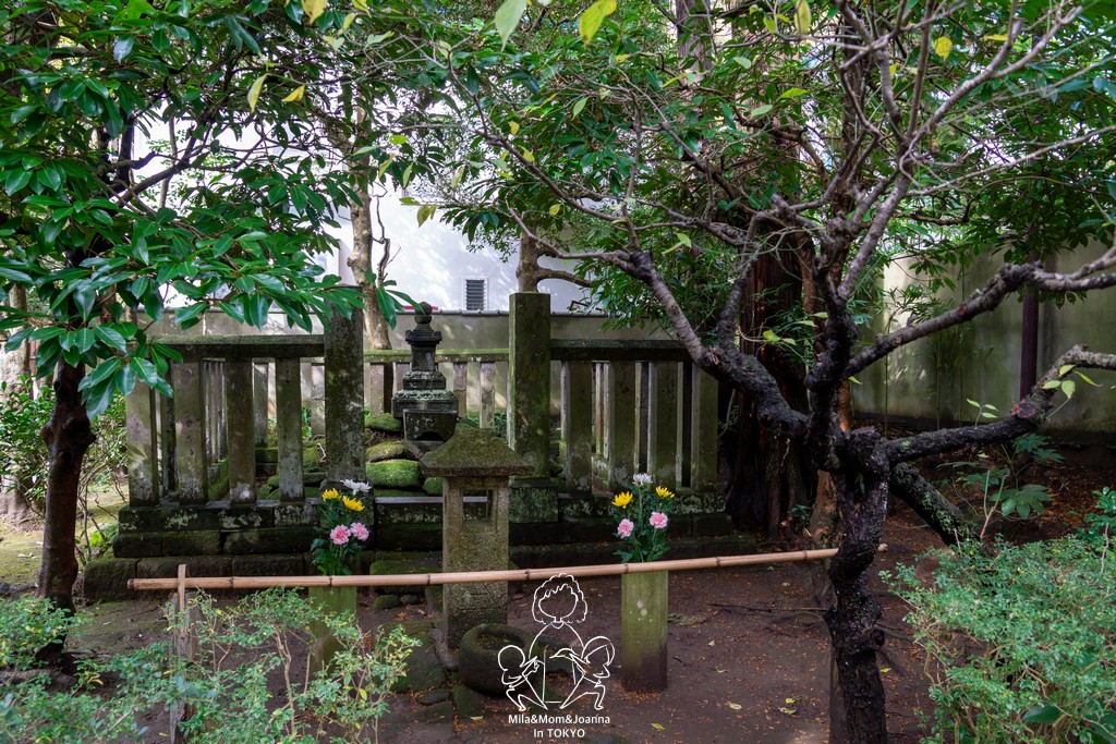 DSC0142 陳米拉愛旅遊、愛拍照也愛碎碎唸 2026-04-12