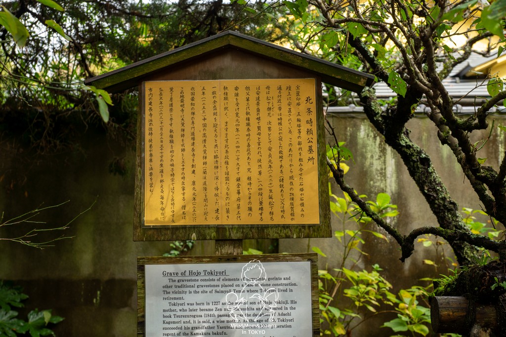 DSC0143 陳米拉愛旅遊、愛拍照也愛碎碎唸 2026-04-12