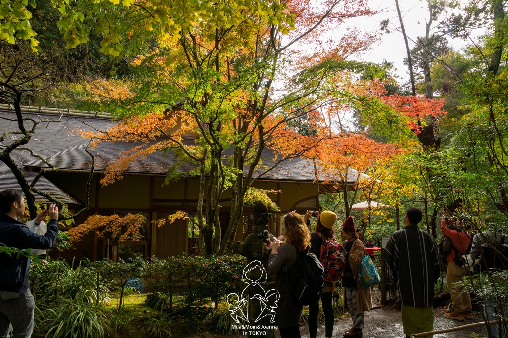 DSC0144 陳米拉愛旅遊、愛拍照也愛碎碎唸 2026-04-12