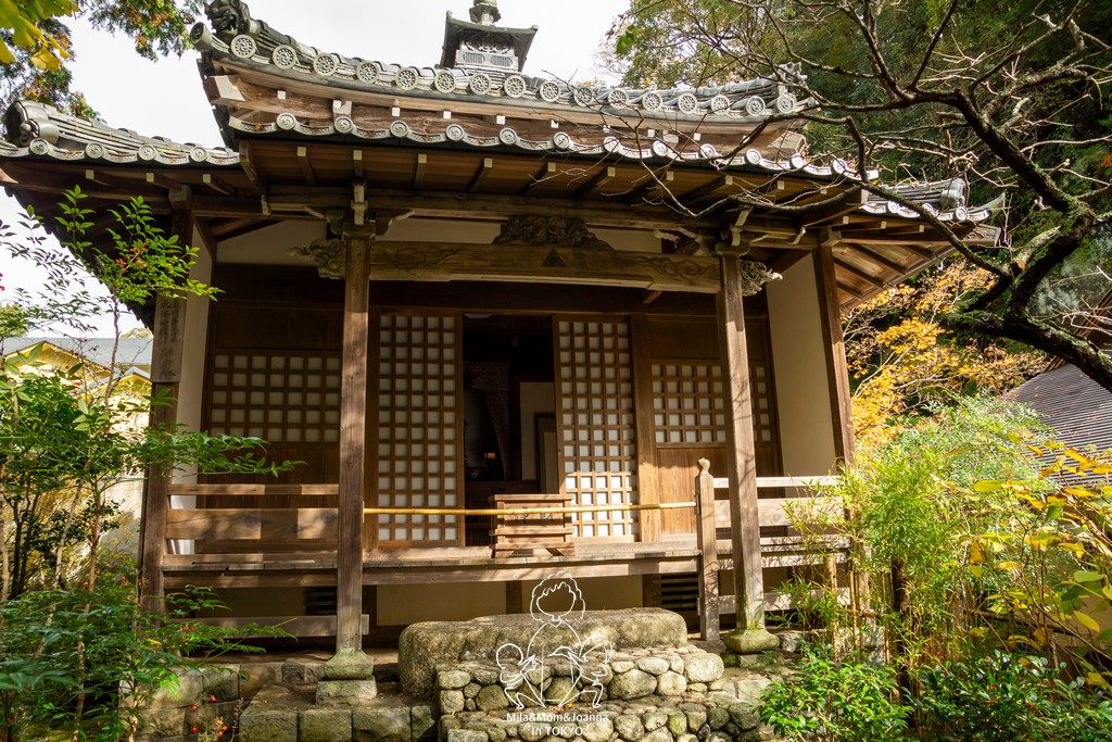 DSC0148 陳米拉愛旅遊、愛拍照也愛碎碎唸 2026-04-12