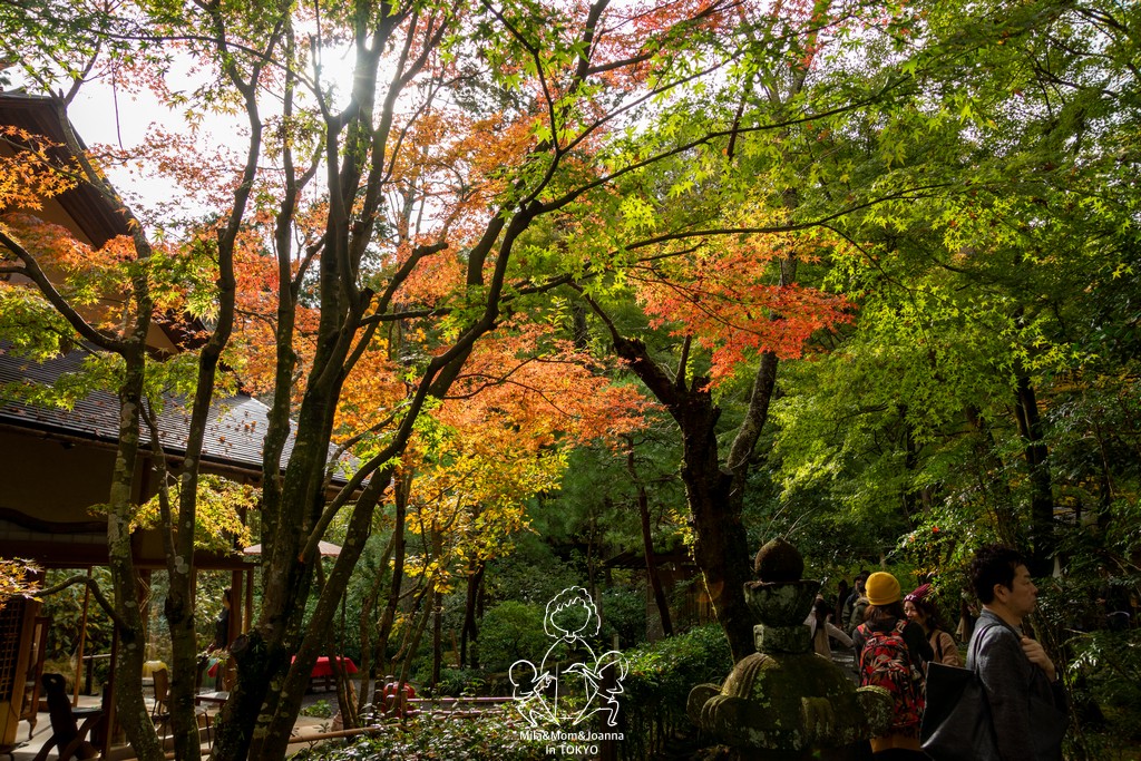 DSC0149 陳米拉愛旅遊、愛拍照也愛碎碎唸 2026-04-12