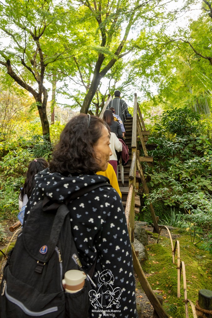 DSC0150 陳米拉愛旅遊、愛拍照也愛碎碎唸 2026-04-12