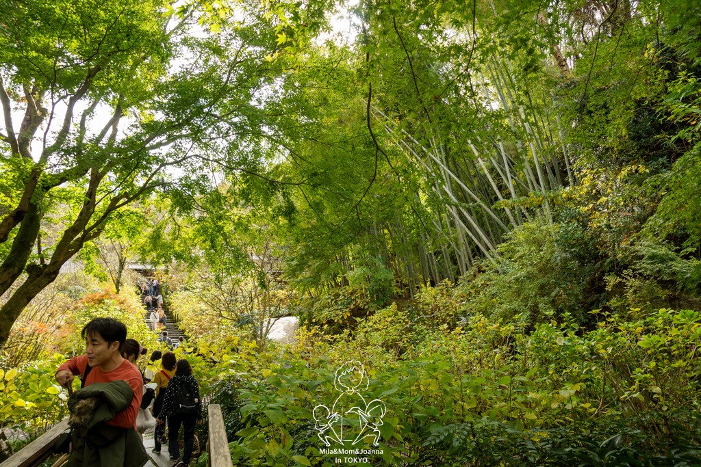 DSC0151 陳米拉愛旅遊、愛拍照也愛碎碎唸 2026-04-12