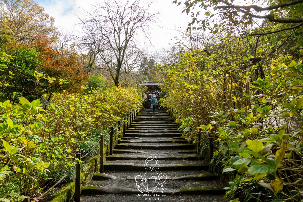 DSC0154 陳米拉愛旅遊、愛拍照也愛碎碎唸 2026-04-12