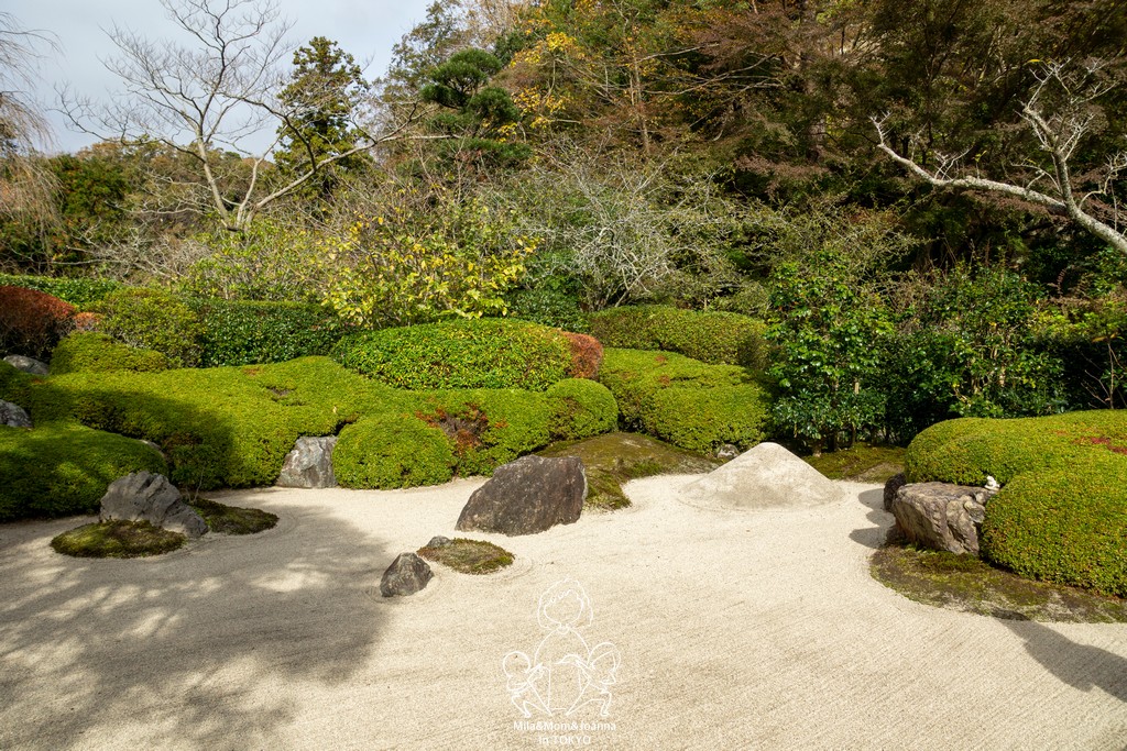DSC0159 陳米拉愛旅遊、愛拍照也愛碎碎唸 2026-04-12