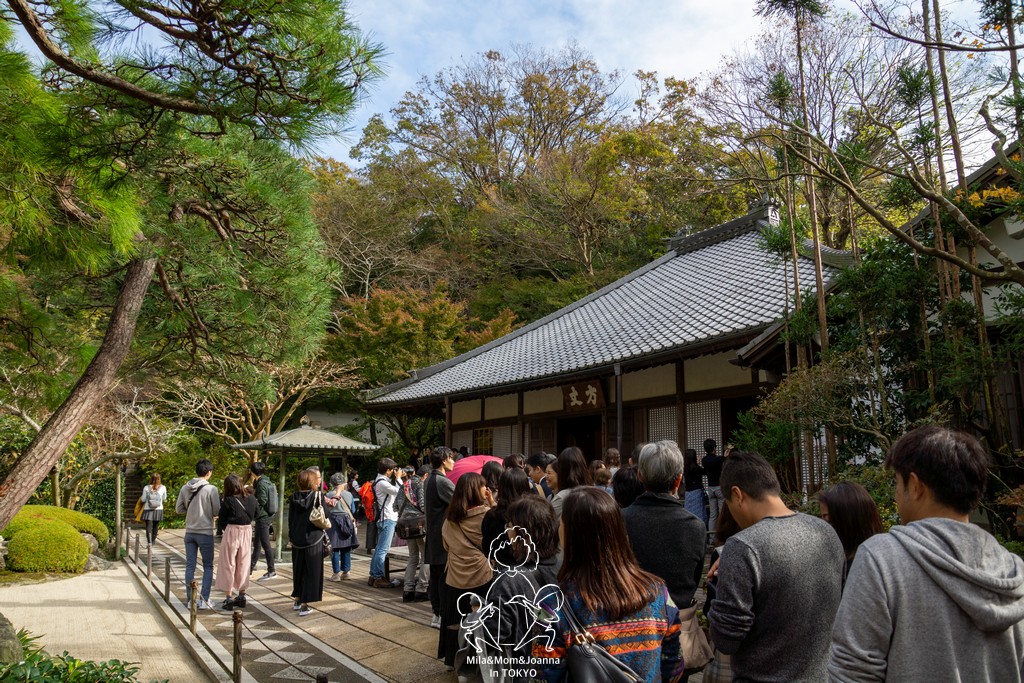 DSC0160 陳米拉愛旅遊、愛拍照也愛碎碎唸 2026-04-12