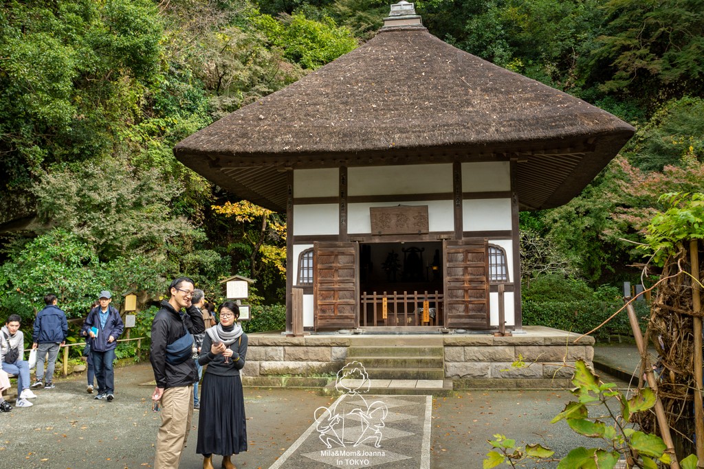 DSC0169 陳米拉愛旅遊、愛拍照也愛碎碎唸 2026-04-12