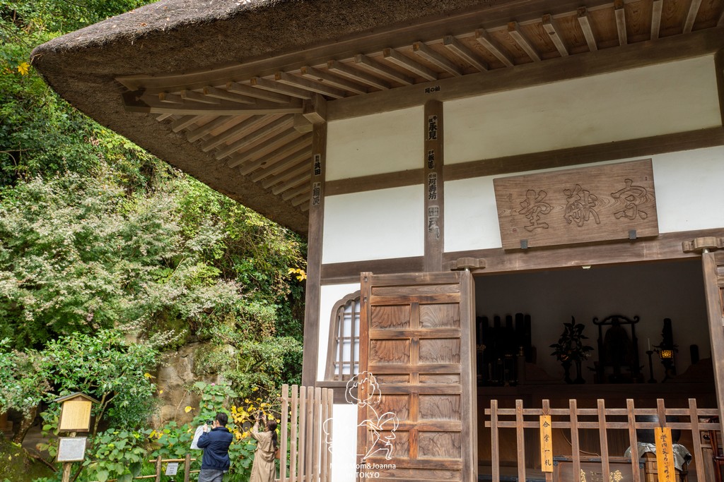 DSC0170 陳米拉愛旅遊、愛拍照也愛碎碎唸 2026-04-12