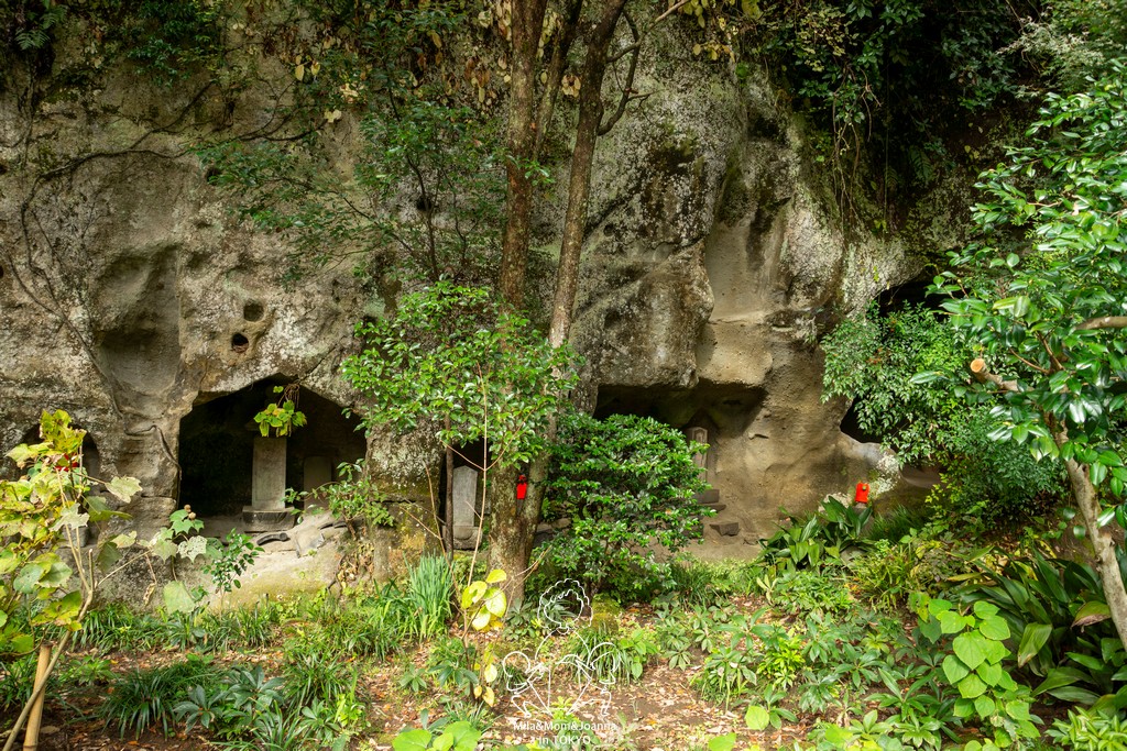 DSC0171 陳米拉愛旅遊、愛拍照也愛碎碎唸 2026-04-12