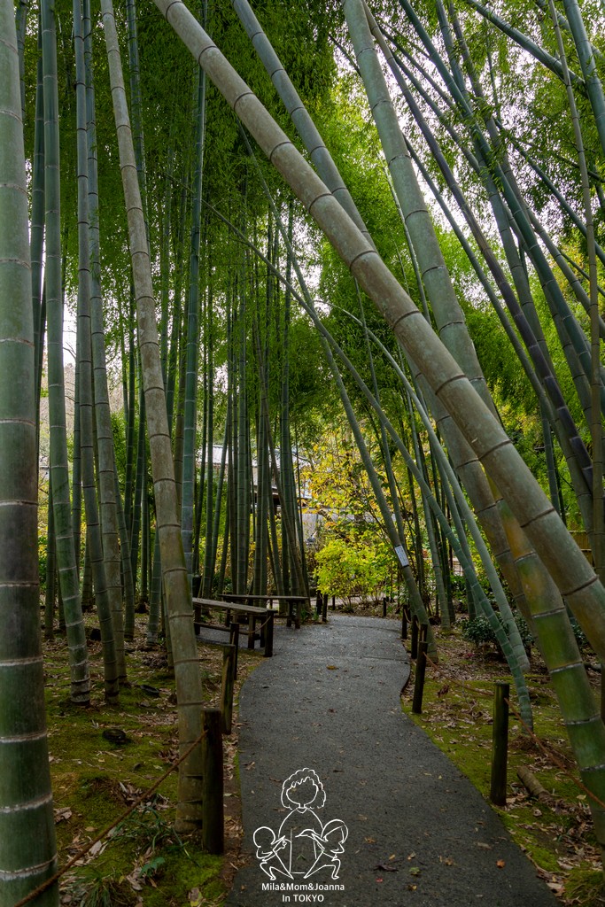 DSC0176 陳米拉愛旅遊、愛拍照也愛碎碎唸 2026-04-12