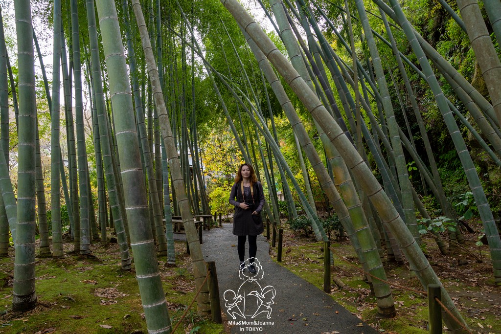 DSC0179 陳米拉愛旅遊、愛拍照也愛碎碎唸 2026-04-12