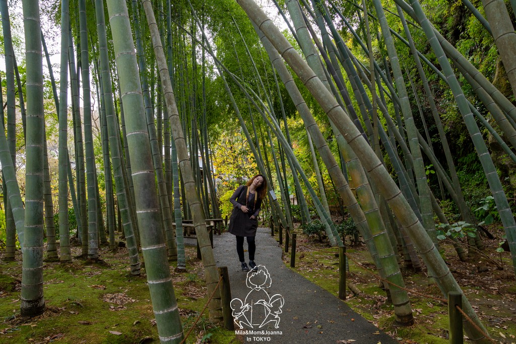 DSC0180 陳米拉愛旅遊、愛拍照也愛碎碎唸 2026-04-12