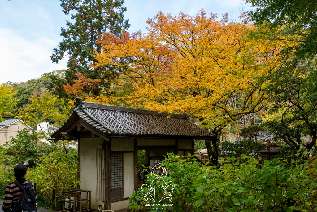 DSC0183 陳米拉愛旅遊、愛拍照也愛碎碎唸 2026-04-12