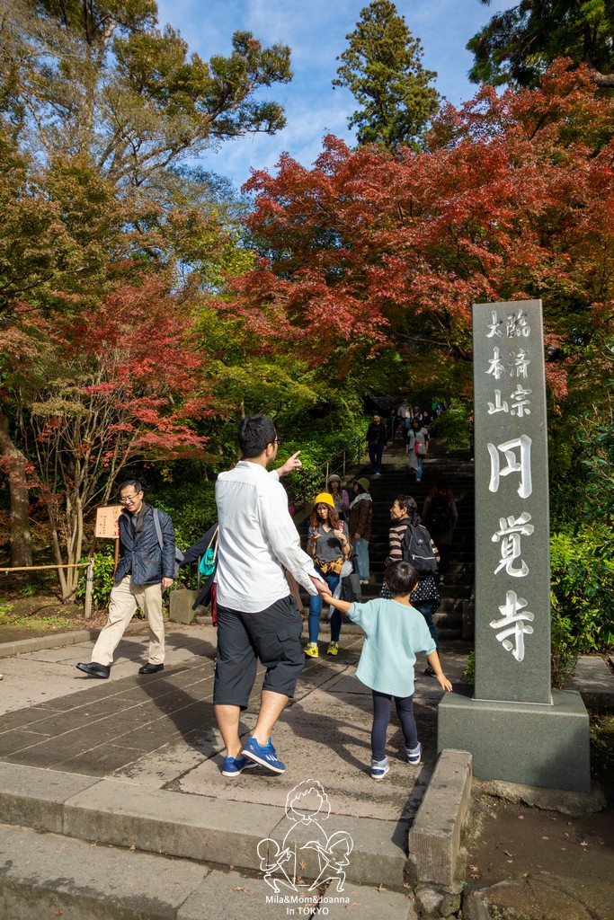 DSC0184 陳米拉愛旅遊、愛拍照也愛碎碎唸 2025-10-29