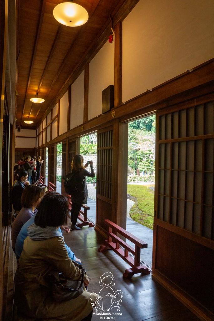 DSC0206 陳米拉愛旅遊、愛拍照也愛碎碎唸 2025-10-29