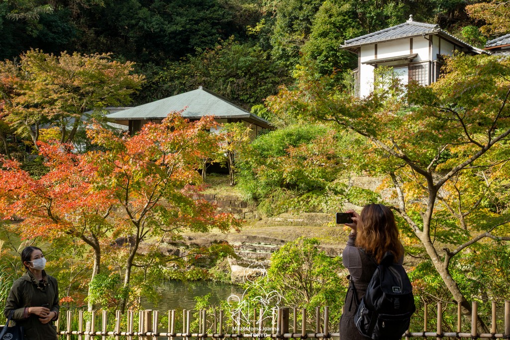 DSC0214 陳米拉愛旅遊、愛拍照也愛碎碎唸 2025-10-29