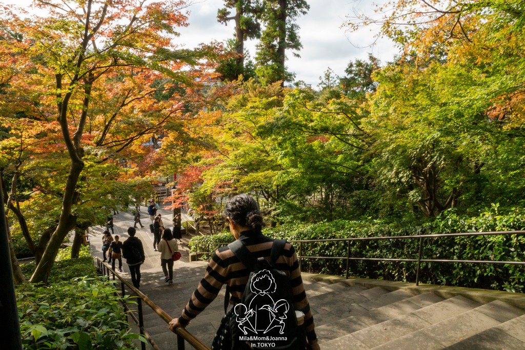 DSC0237 陳米拉愛旅遊、愛拍照也愛碎碎唸 2025-10-29