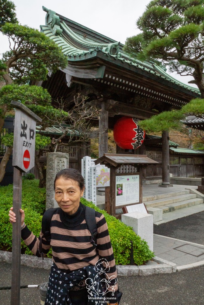 DSC0248 陳米拉愛旅遊、愛拍照也愛碎碎唸 2025-10-29