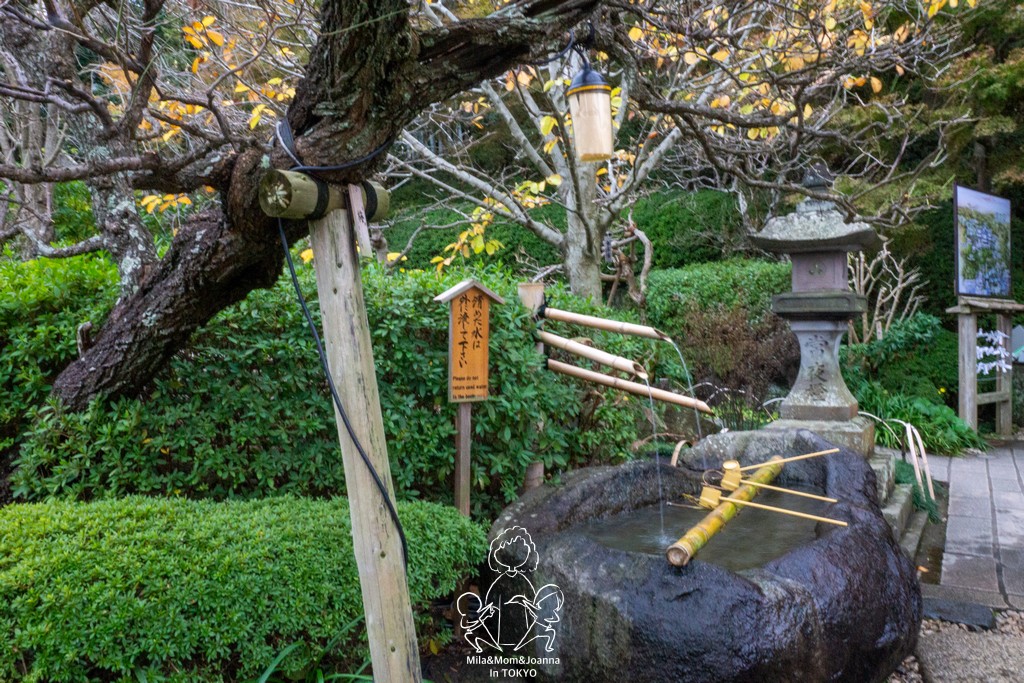 DSC0253 陳米拉愛旅遊、愛拍照也愛碎碎唸 2025-10-29