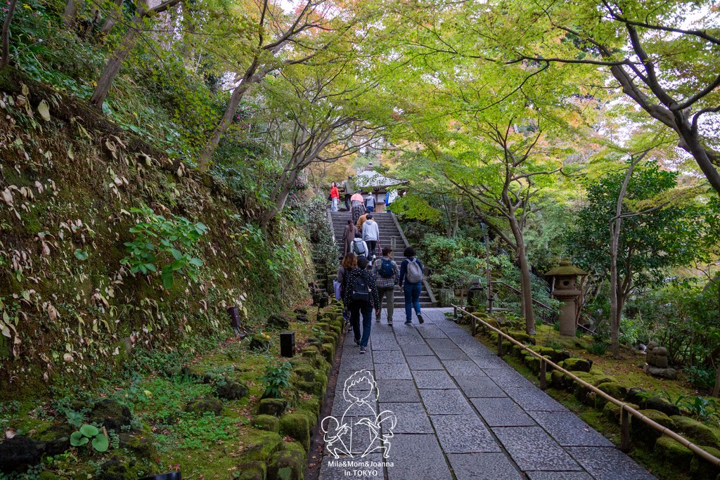 DSC0255 陳米拉愛旅遊、愛拍照也愛碎碎唸 2025-10-29