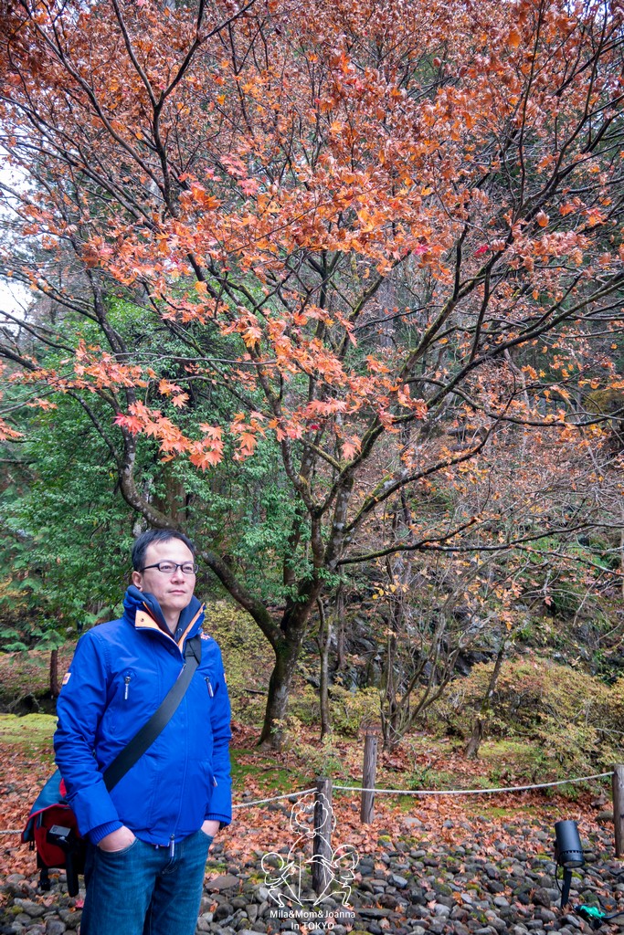 1720863 陳米拉愛旅遊、愛拍照也愛碎碎唸 2026-04-12