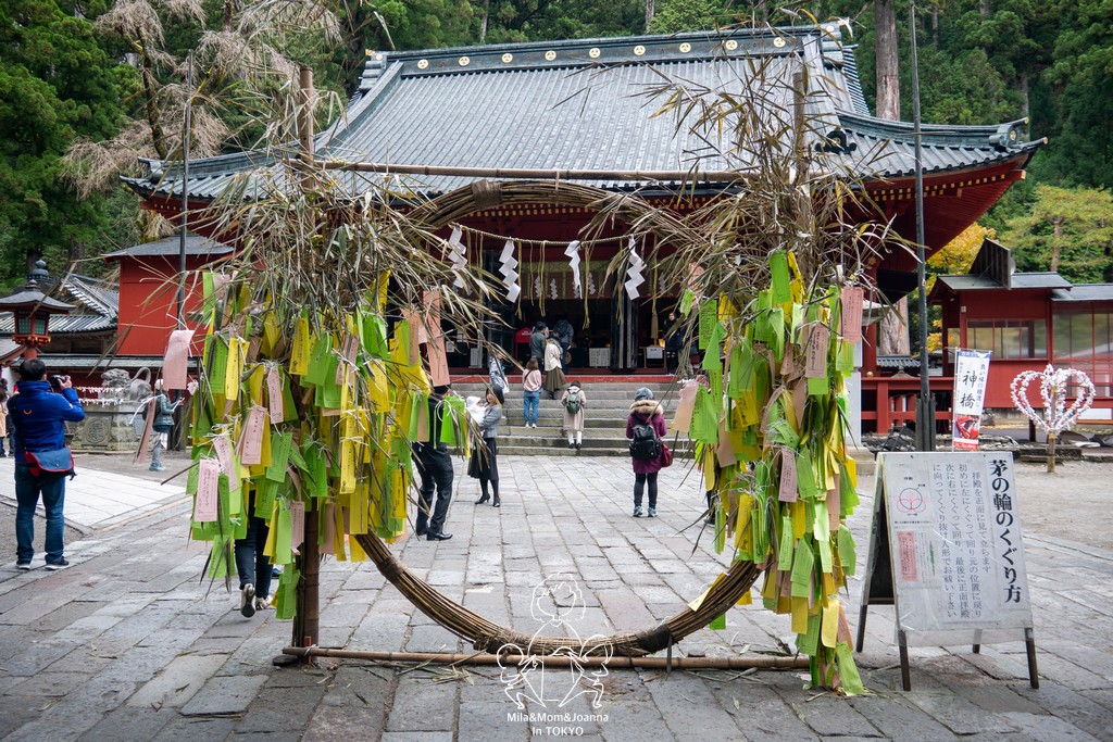1720880 陳米拉愛旅遊、愛拍照也愛碎碎唸 2026-04-12