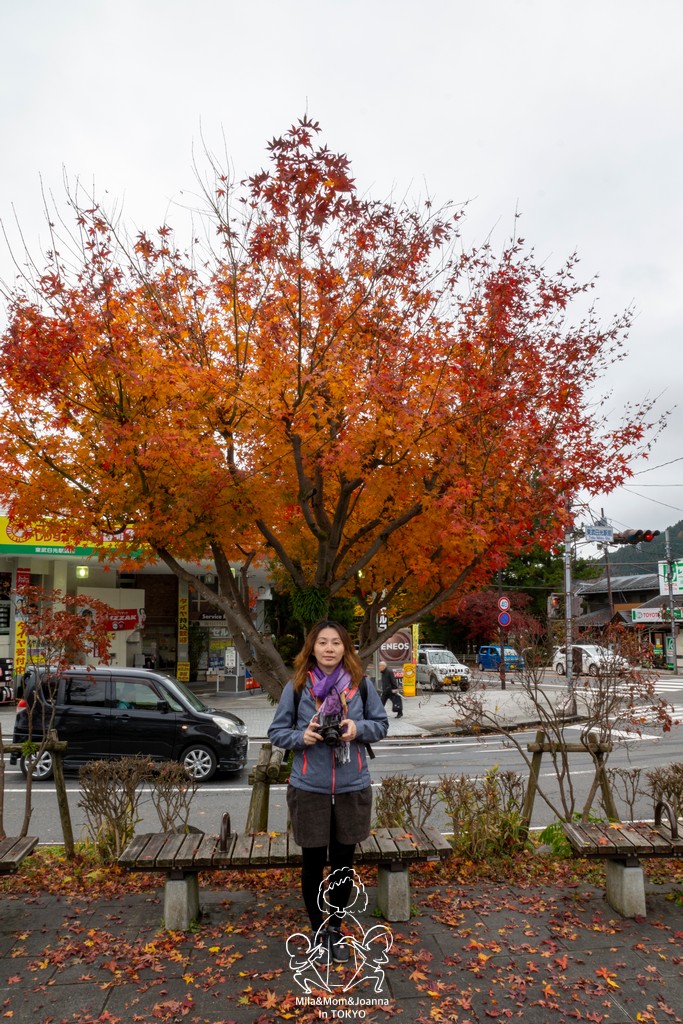 DSC0584 陳米拉愛旅遊、愛拍照也愛碎碎唸 2026-04-12