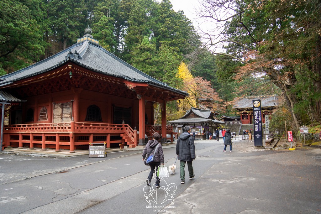 DSC0594 陳米拉愛旅遊、愛拍照也愛碎碎唸 2026-04-12